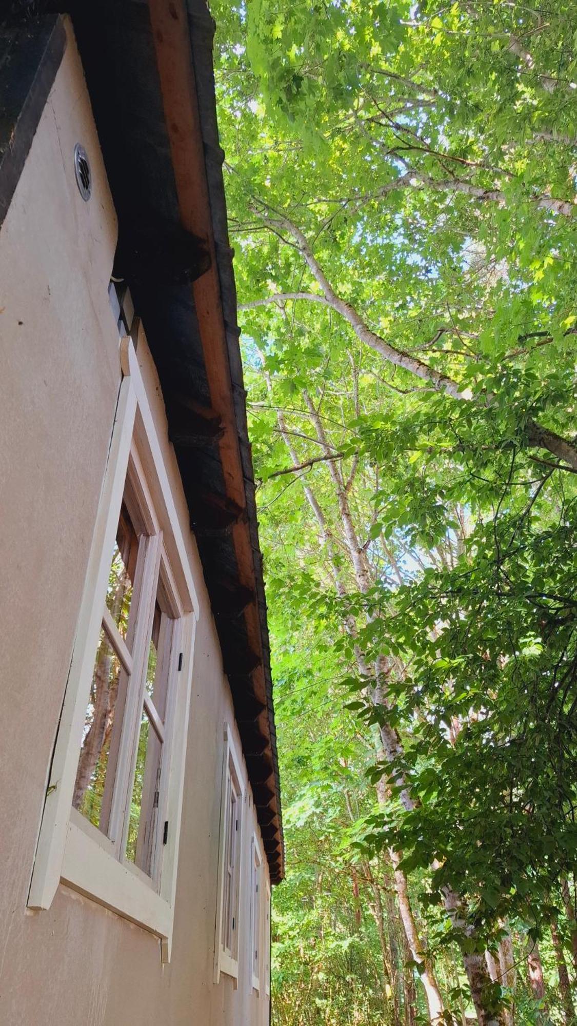 Kardoni Puhkelaager Tornimae Dış mekan fotoğraf
